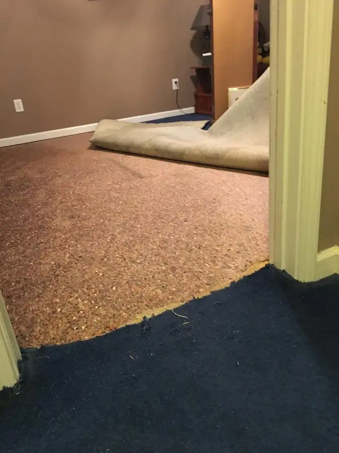 Carpet pad removal revealing water damage during Water Mitigation Services in Muleshoe