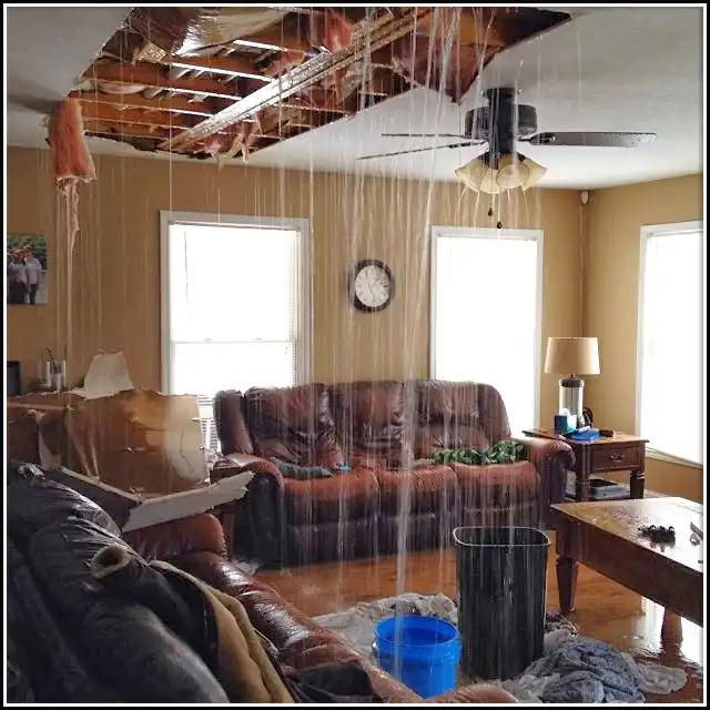 Water Damage Restoration services in Muleshoe, TX