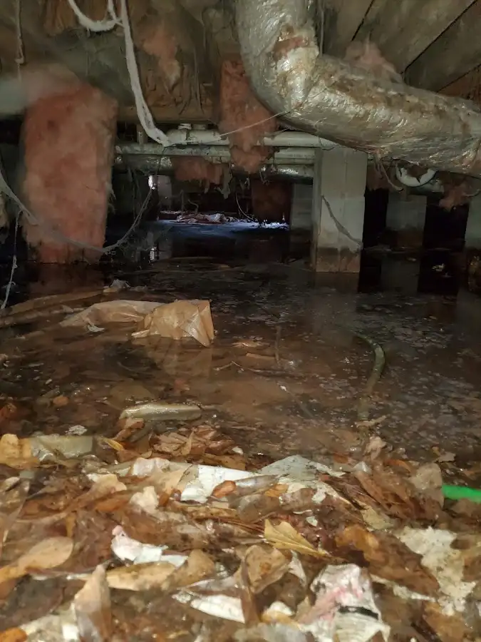 Crawl space flood assessment for Commercial Water Damage Restoration in Muleshoe